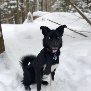 Meet your Posher, Laurence